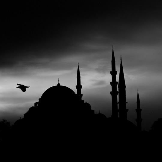 Turchia